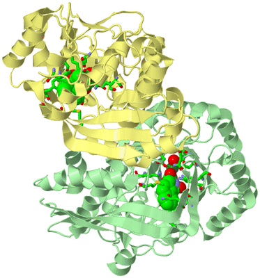 Image Biol. Unit 1 - sites