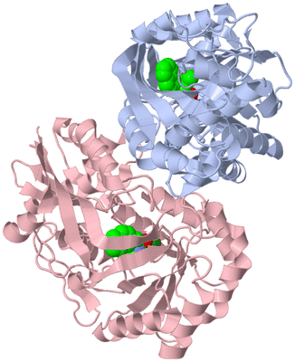 Image Biological Unit 2