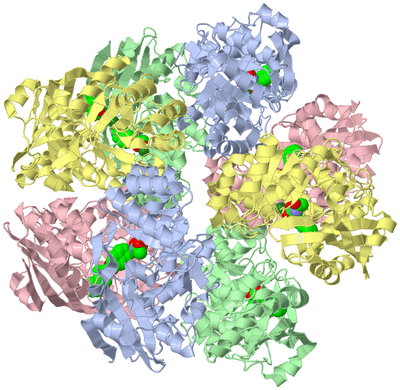 Image Biological Unit 1