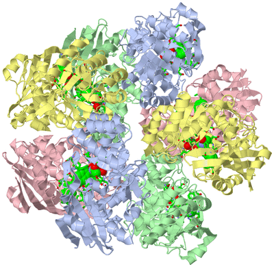 Image Biol. Unit 1 - sites