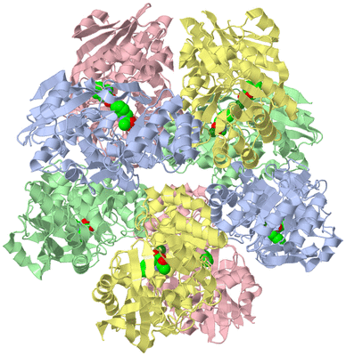 Image Biological Unit 1