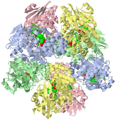 Image Biol. Unit 1 - sites