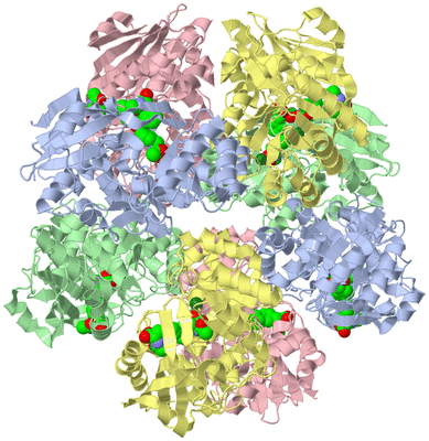 Image Biological Unit 1