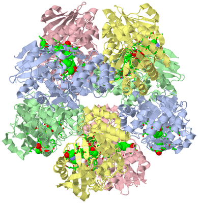 Image Biol. Unit 1 - sites