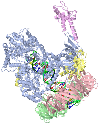 Image Asym./Biol. Unit