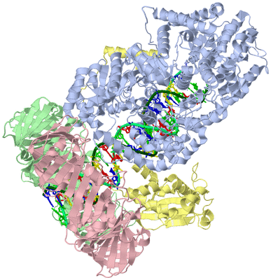 Image Asym./Biol. Unit