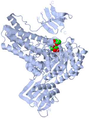 Image Biological Unit 1