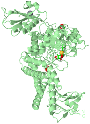 Image Biological Unit 2