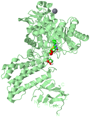 Image Biological Unit 2