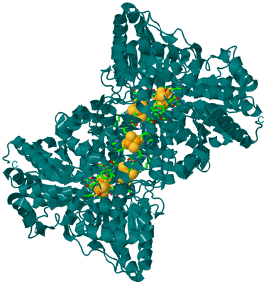 Image Biol. Unit 1 - sites