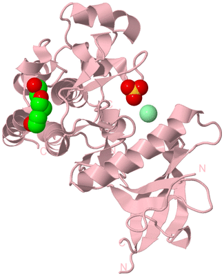 Image Biological Unit 3