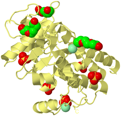 Image Biological Unit 4