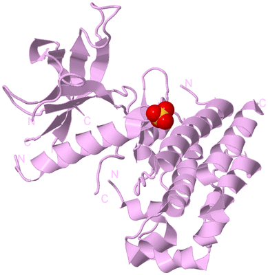 Image Biological Unit 5