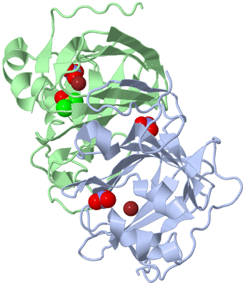 Image Asym./Biol. Unit