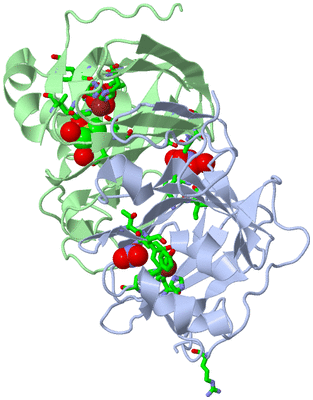 Image Asym./Biol. Unit - sites