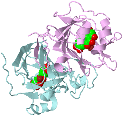 Image Biological Unit 2