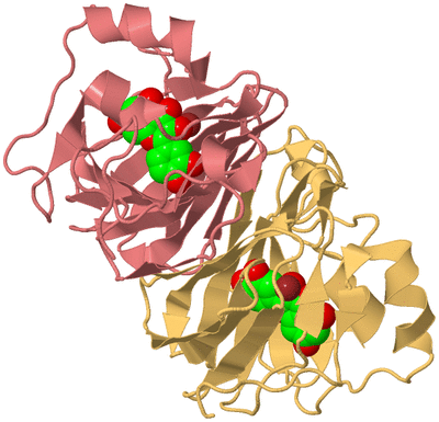 Image Biological Unit 3