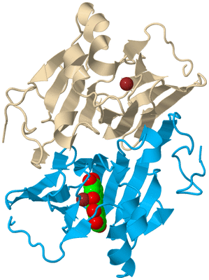 Image Biological Unit 4