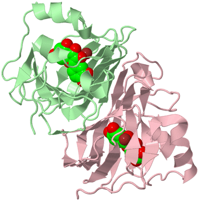 Image Biological Unit 5