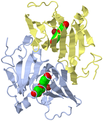 Image Biological Unit 6