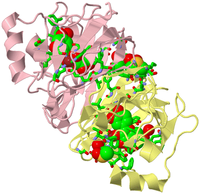 Image Biol. Unit 1 - sites