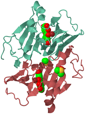 Image Biological Unit 2