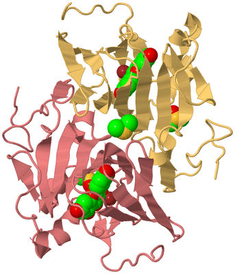 Image Biological Unit 3