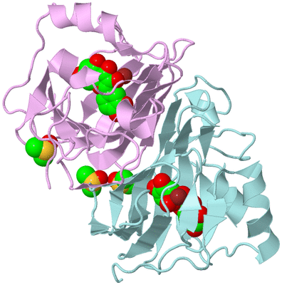 Image Biological Unit 4