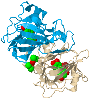 Image Biological Unit 5