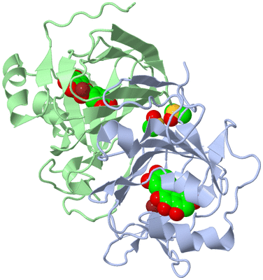 Image Biological Unit 6