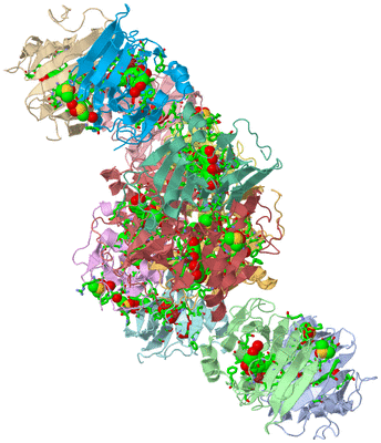 Image Asym. Unit - sites