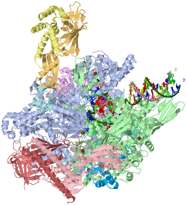 Image Asym./Biol. Unit