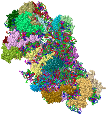 Image Asym./Biol. Unit - sites