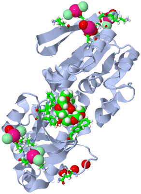 Image Biol. Unit 1 - sites