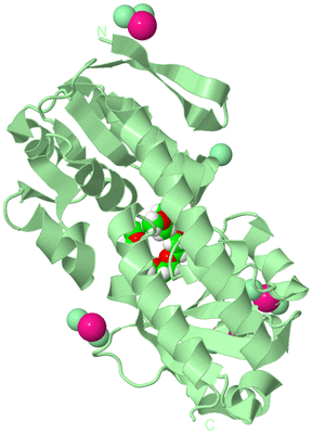 Image Biological Unit 2