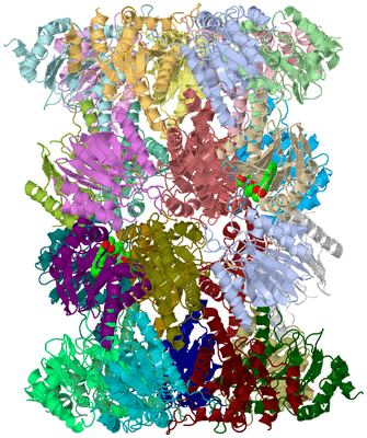 Image Asym./Biol. Unit