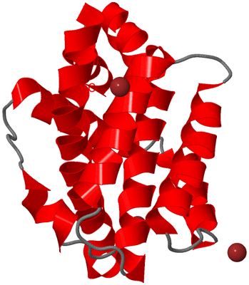 Image Asymmetric Unit