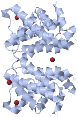 Image Biological Unit 1