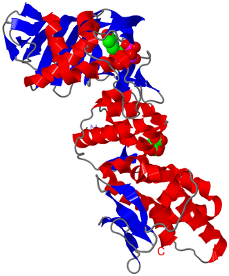 Image Asym./Biol. Unit