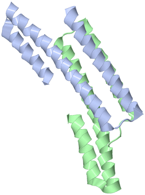 Image Asymmetric Unit