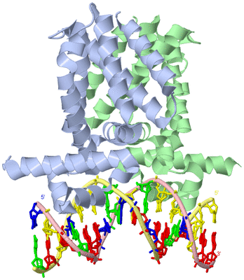 Image Asym./Biol. Unit