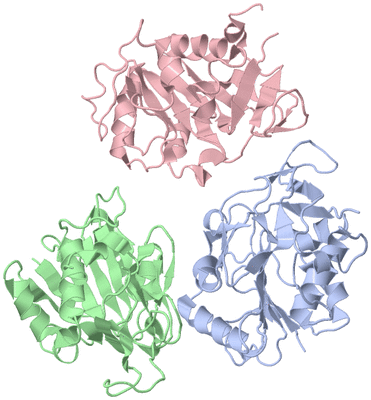 Image Asymmetric Unit