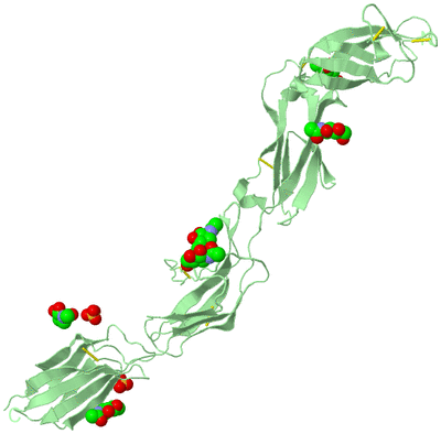 Image Biological Unit 2