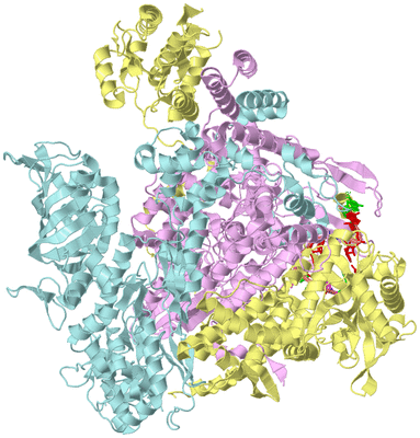 Image Biological Unit 1