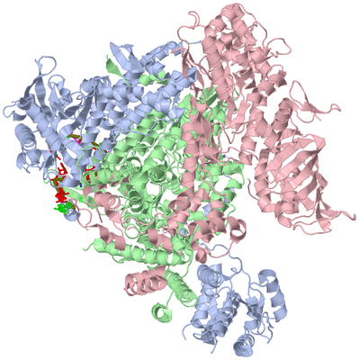 Image Biological Unit 2