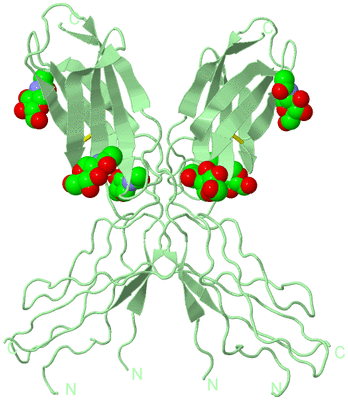 Image Biological Unit 1