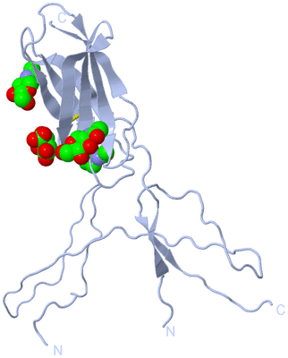 Image Biological Unit 3