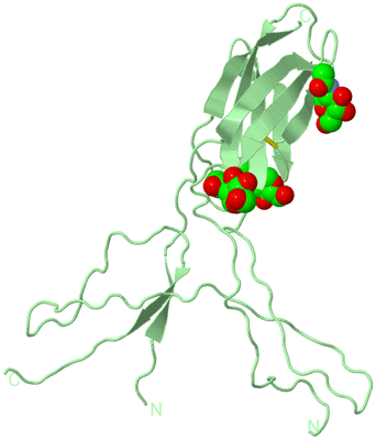 Image Biological Unit 4