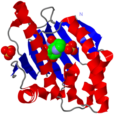 Image Asym./Biol. Unit