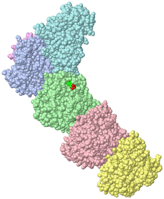 Image Asym./Biol. Unit